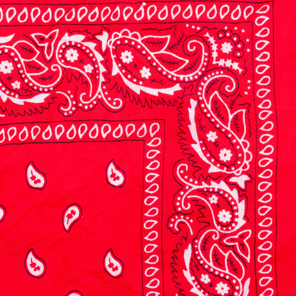 Thumbnail 14